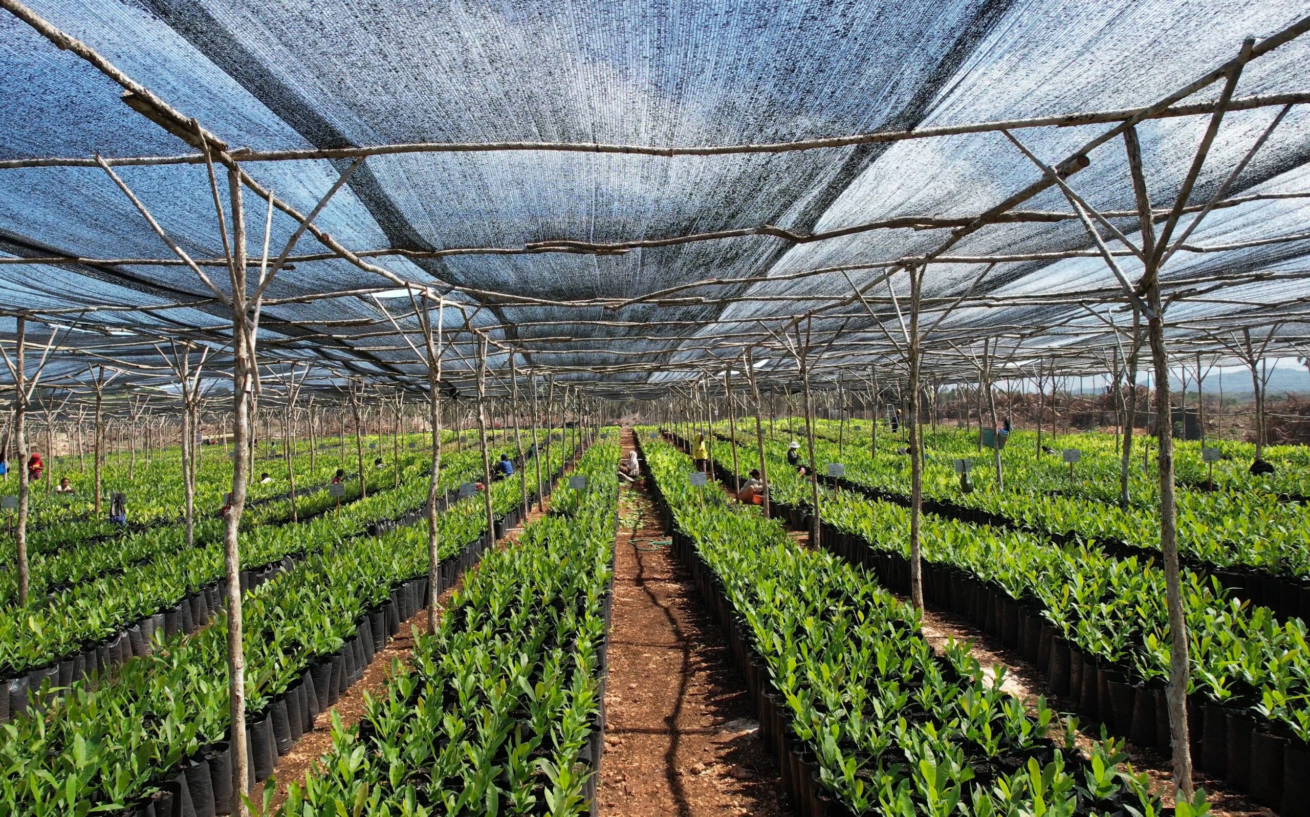 CRISTAL永續承諾：永續承諾融入每一次選擇